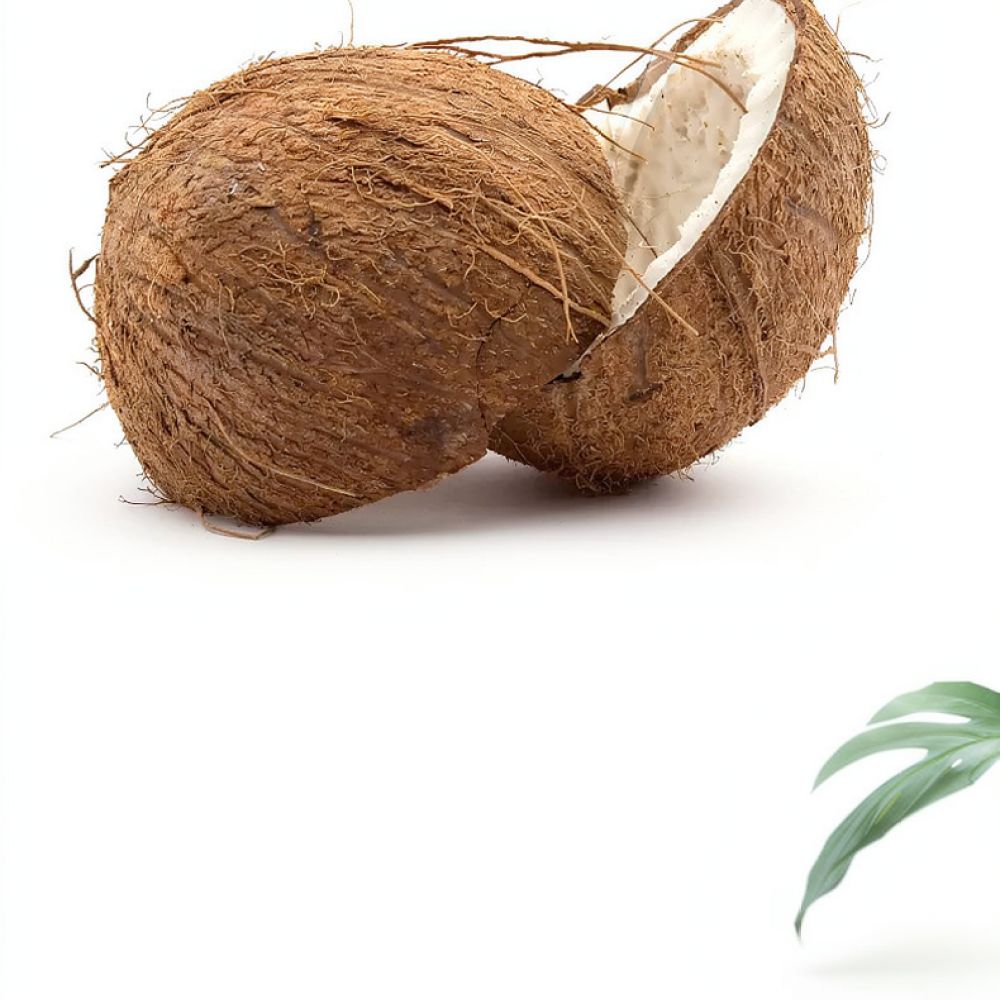 Высококачественный субстрат из – обзор и цена Substrate Coconut Fiber